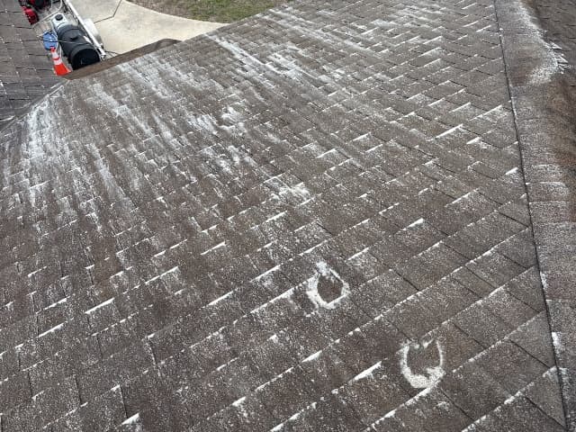 Roof Soft Washing Service Image