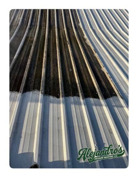 Roof Soft Washing Thumbnail